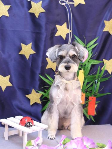 20230714パピコくん